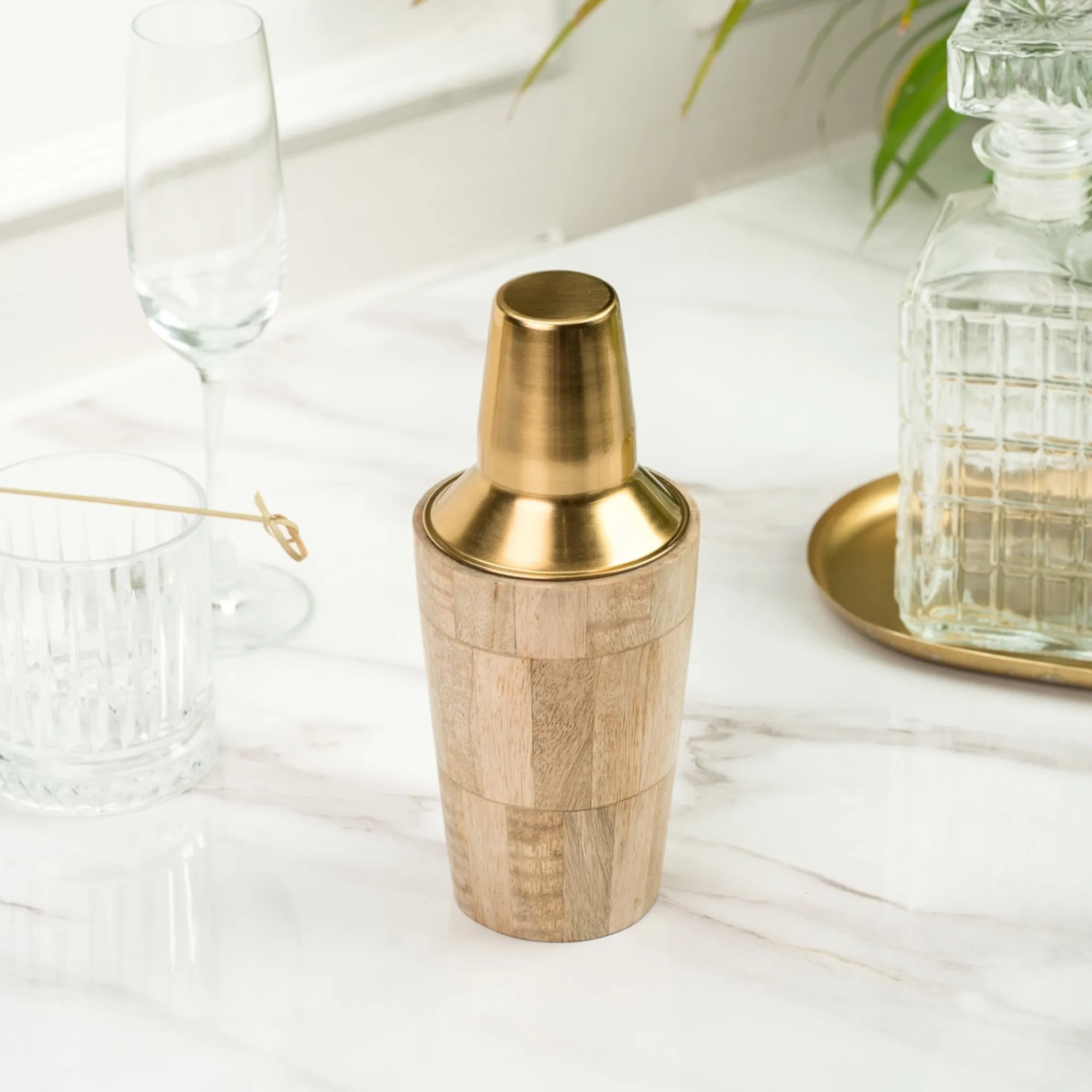 Orion Cocktail Shaker